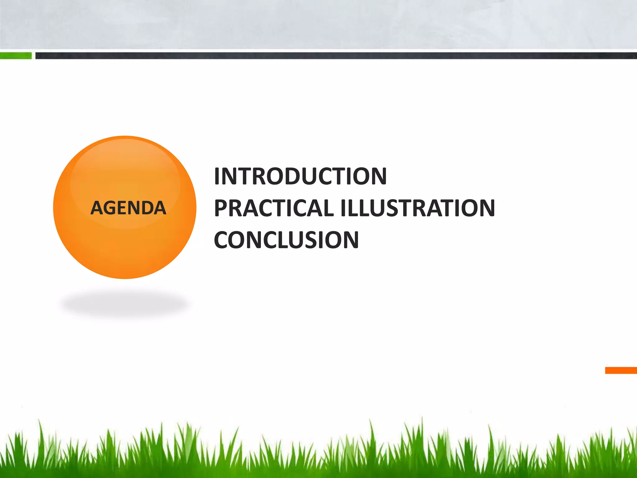 INTRODUCTION
AGENDA   PRACTICAL ILLUSTRATION
         CONCLUSION
 