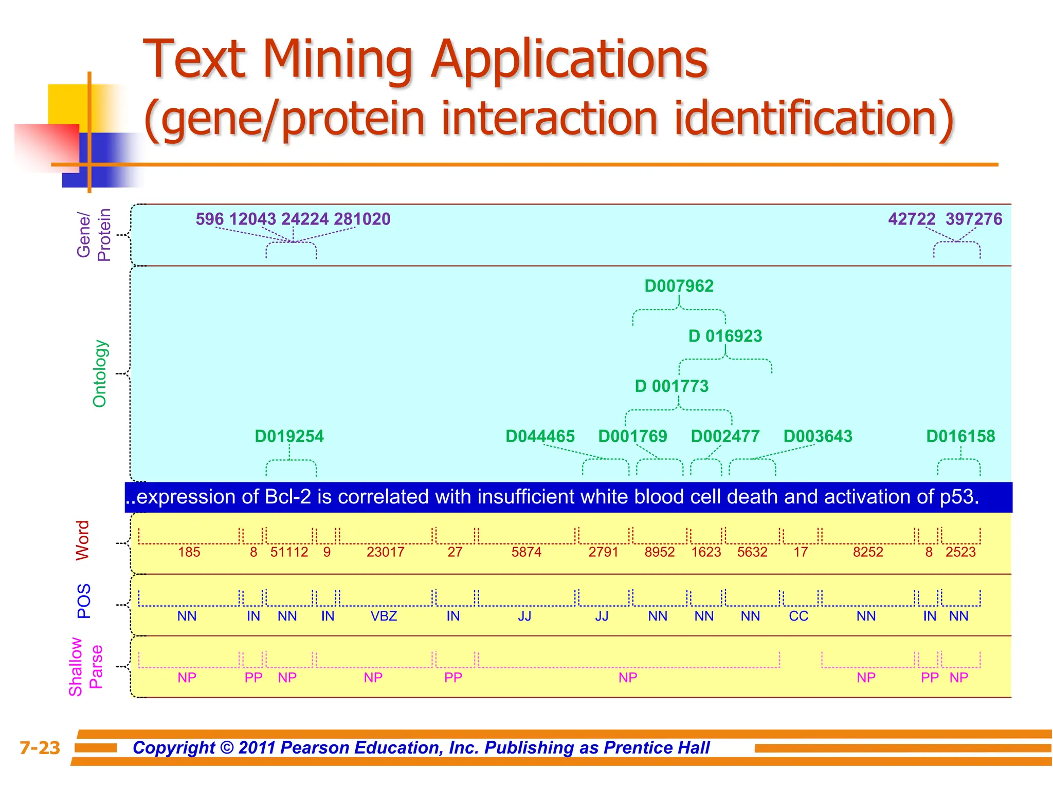 Copyright © 2011 Pearson Education, Inc. Publishing as Prentice Hall
7-23
Text Mining Applications
(gene/protein interaction identification)
Gene/
Protein
596 12043 24224 281020 42722 397276
D007962
D 016923
D 001773
D019254 D044465 D001769 D002477 D003643 D016158
185 8 51112 9 23017 27 5874 2791 8952 1623 5632 17 8252 8 2523
NN IN NN IN VBZ IN JJ JJ NN NN NN CC NN IN NN
NP PP NP NP PP NP NP PP NP
Ontology
Word
POS
Shallow
Parse
...
expression of Bcl-2 is correlated with insufficient white blood cell death and activation of p53.
 