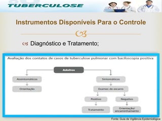 
 Diagnóstico e Tratamento;
Instrumentos Disponíveis Para o Controle
Tuberculose
Fonte: Guia de Vigilância Epidemiológica
 