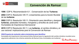 Turberas Amazónicas y Estrategia Nacional de Humedales