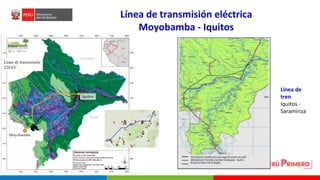 Turberas Amazónicas y Estrategia Nacional de Humedales