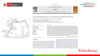 Turberas Amazónicas y Estrategia Nacional de Humedales
