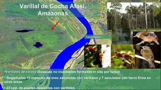 Turberas Amazónicas y Estrategia Nacional de Humedales