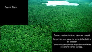 Turberas Amazónicas y Estrategia Nacional de Humedales