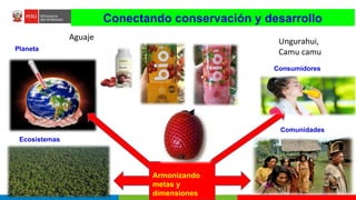 Turberas Amazónicas y Estrategia Nacional de Humedales