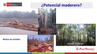 Turberas Amazónicas y Estrategia Nacional de Humedales