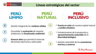 Turberas Amazónicas y Estrategia Nacional de Humedales