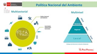 Turberas Amazónicas y Estrategia Nacional de Humedales