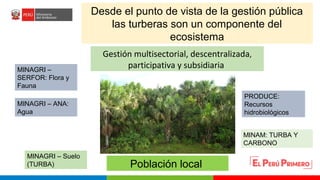 Turberas Amazónicas y Estrategia Nacional de Humedales