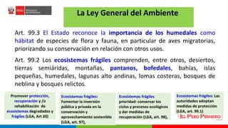 Turberas Amazónicas y Estrategia Nacional de Humedales