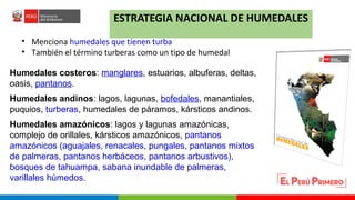 Turberas Amazónicas y Estrategia Nacional de Humedales