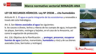 Turberas Amazónicas y Estrategia Nacional de Humedales