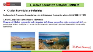 Turberas Amazónicas y Estrategia Nacional de Humedales