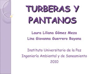 TURBERAS Y PANTANOS Laura Liliana Gómez Meza Lina Giovanna Guerrero Bayona Instituto Universitario de la Paz Ingeniería Ambiental y de Saneamiento 2010 
