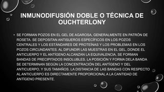 INMUNODIFUSIÓN DOBLE O TÉCNICA DE
OUCHTERLONY
• SE FORMAN POZOS EN EL GEL DE AGAROSA, GENERALMENTE EN PATRÓN DE
ROSETA. SE DEPOSITAN ANTISUEROS ESPECÍFICOS EN LOS POZOS
CENTRALES Y LOS ESTÁNDARES DE PROTEÍNAS Y LOS PROBLEMAS EN LOS
POZOS CIRCUNDANTES. AL DIFUNDIR LAS MUESTRAS EN EL GEL, DONDE EL
ANTICUERPO Y EL ANTÍGENO ALCANZAN LA EQUIVALENCIA, SE FORMAN
BANDAS DE PRECIPITADOS INSOLUBLES. LA POSICIÓN Y FORMA DELA BANDA
SE DETERMINAN SEGÚN LA CONCENTRACIÓN DEL ANTÍGENO Y DEL
ANTICUERPO, Y SUS TAMAÑOS. LA DISTANCIA DE LAS BANDAS CON RESPECTO
AL ANTICUERPO ES DIRECTAMENTE PROPORCIONAL A LA CANTIDAD DE
ANTÍGENO PRESENTE.
 