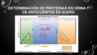 DETERMINACIÓN DE PROTEÍNAS EN ORINA Y
DE ANTICUERPOS EN SUERO
 