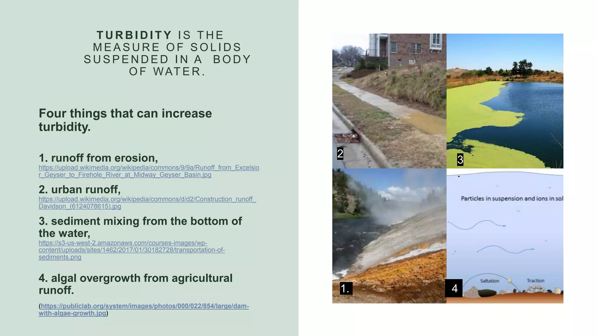 Turbidity And Water Pollution PPT