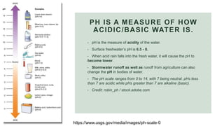 Turbidity and water pollution | PPTX