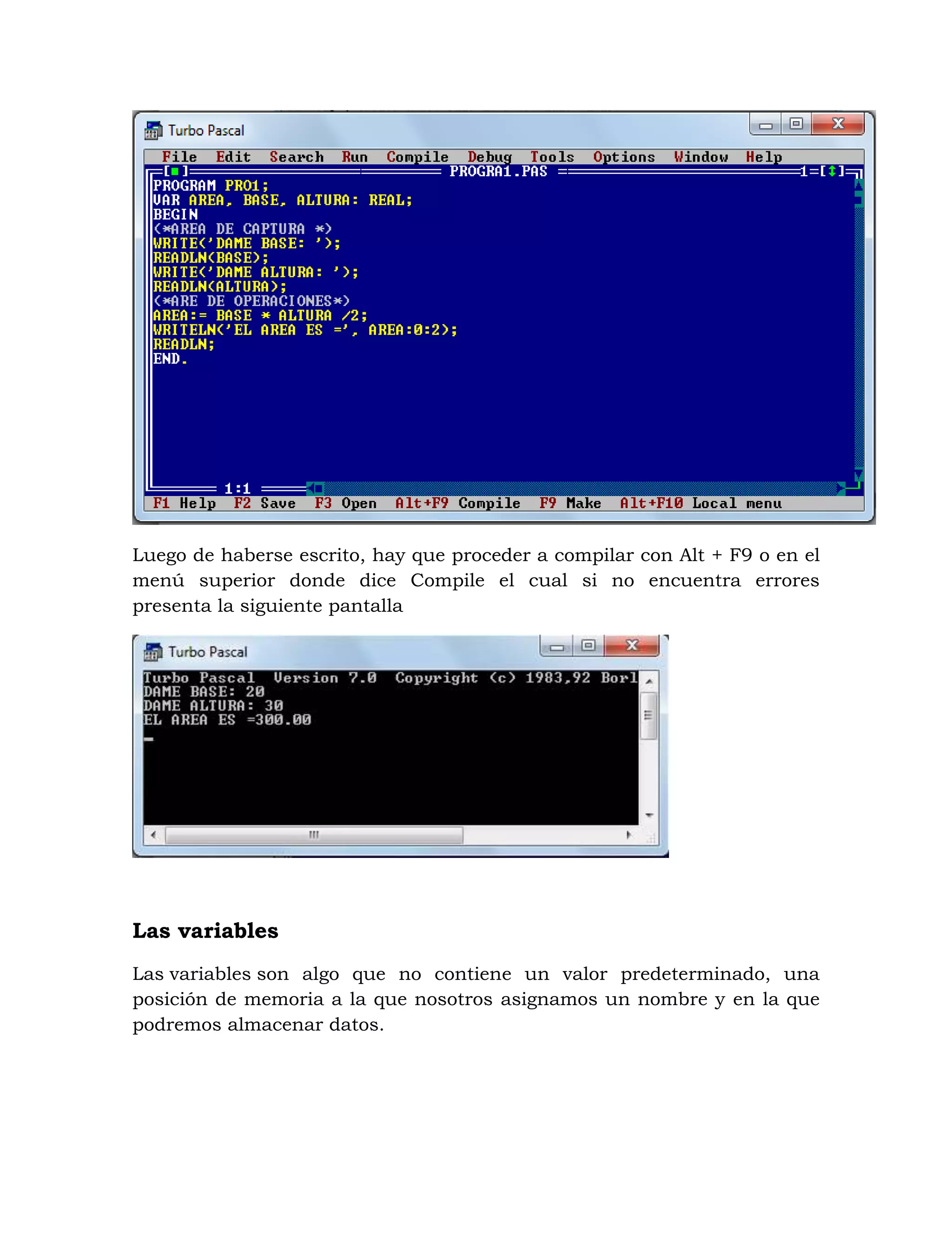 Luego de haberse escrito, hay que proceder a compilar con Alt + F9 o en el
menú superior donde dice Compile el cual si no encuentra errores
presenta la siguiente pantalla
Las variables
Las variables son algo que no contiene un valor predeterminado, una
posición de memoria a la que nosotros asignamos un nombre y en la que
podremos almacenar datos.
 