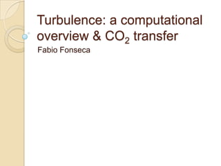 Turbulence: a computational
overview & CO2 transfer
Fabio Fonseca
 