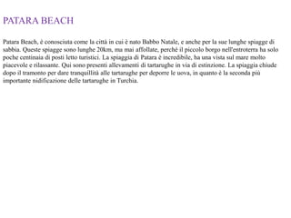 PATARA BEACH
Patara Beach, è conosciuta come la città in cui è nato Babbo Natale, e anche per la sue lunghe spiagge di
sabbia. Queste spiagge sono lunghe 20km, ma mai affollate, perché il piccolo borgo nell'entroterra ha solo
poche centinaia di posti letto turistici. La spiaggia di Patara è incredibile, ha una vista sul mare molto
piacevole e rilassante. Qui sono presenti allevamenti di tartarughe in via di estinzione. La spiaggia chiude
dopo il tramonto per dare tranquillità alle tartarughe per deporre le uova, in quanto è la seconda più
importante nidificazione delle tartarughe in Turchia.
 