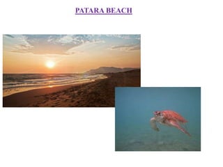 PATARA BEACH
 