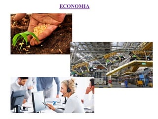 ECONOMIA
 