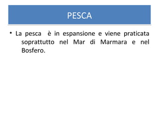 PESCAPESCA
• La pesca è in espansione e viene praticata
soprattutto nel Mar di Marmara e nel
Bosfero.
 