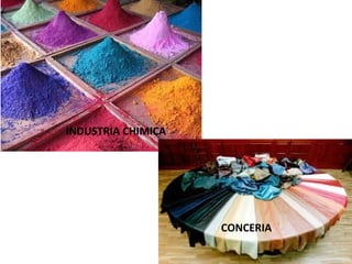 INDUSTRIA CHIMICA
CONCERIA
 