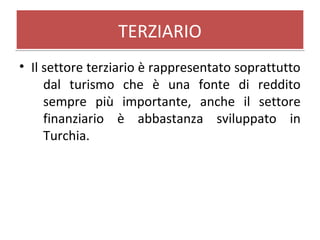 TERZIARIOTERZIARIO
• Il settore terziario è rappresentato soprattutto
dal turismo che è una fonte di reddito
sempre più importante, anche il settore
finanziario è abbastanza sviluppato in
Turchia.
 