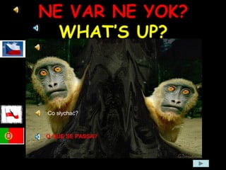 NE VAR NE YOK?
WHAT’S UP?
Co se děje?
Co słychać?
O QUE SE PASSA?
 