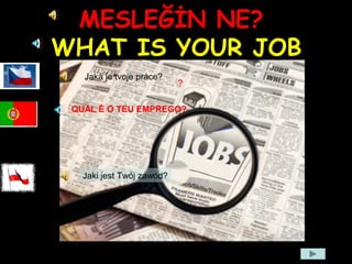 MESLEĞİN NE?
WHAT IS YOUR JOB
?
Jaká je tvoje práce?
Jaki jest Twój zawód?
QUAL É O TEU EMPREGO?
 