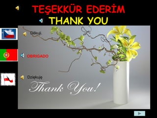 TEŞEKKÜR EDERİM
THANK YOU
Děkuji.
Dziękuję
OBRIGADO
 