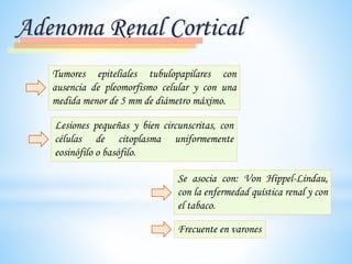 Adenoma Renal Cortical
Tumores epiteliales tubulopapilares con
ausencia de pleomorfismo celular y con una
medida menor de 5 mm de diámetro máximo.
Frecuente en varones
Lesiones pequeñas y bien circunscritas, con
células de citoplasma uniformemente
eosinófilo o basófilo.
Se asocia con: Von Hippel-Lindau,
con la enfermedad quística renal y con
el tabaco.
 