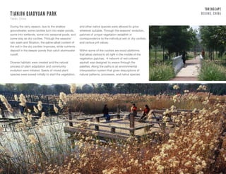 Turenscape | PDF
