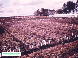 Digitised by Seomra Ranga 2012
    www.seomraranga.com
 