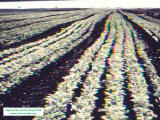 Digitised by Seomra Ranga 2012
    www.seomraranga.com
 