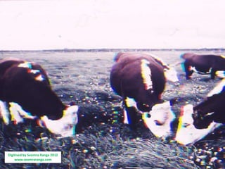 Digitised by Seomra Ranga 2012
    www.seomraranga.com
 