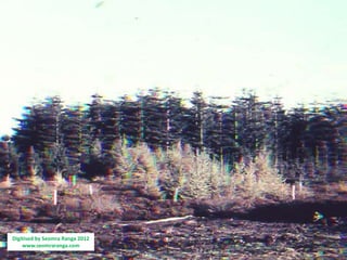 Digitised by Seomra Ranga 2012
    www.seomraranga.com
 