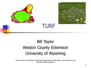 TURF Bill Taylor Weston County Extension University of Wyoming The University of Wyoming, United States Department of Agriculture, and Weston County Extension Office cooperate 
