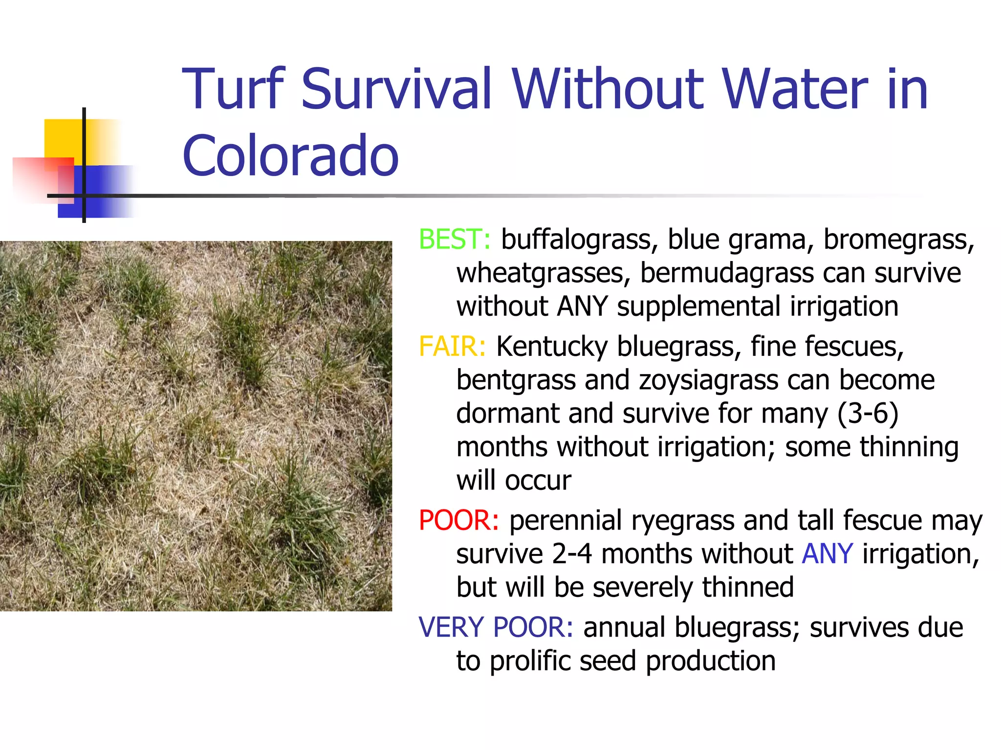 Turf Drough Tresistance