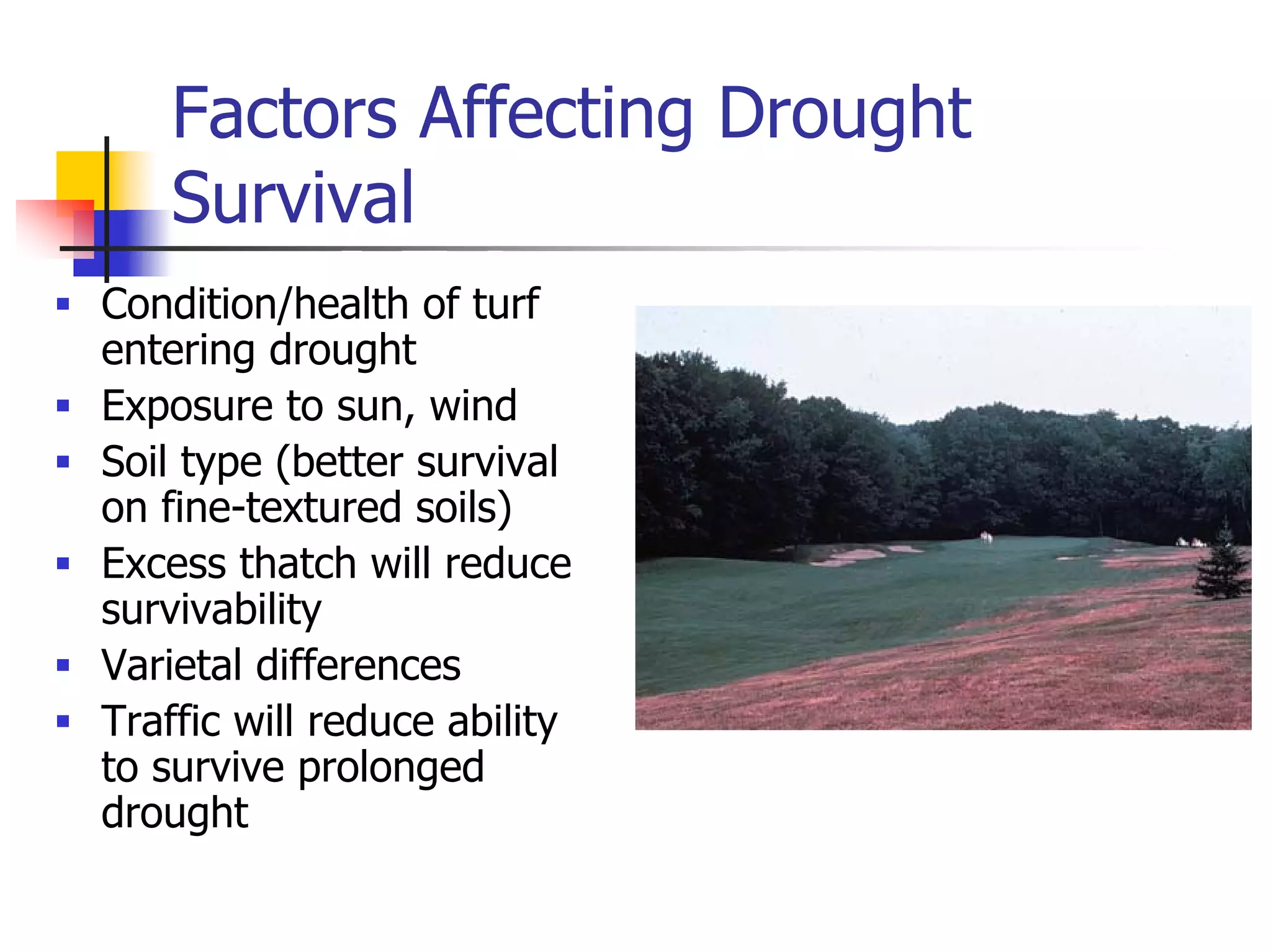 Turf Drough Tresistance