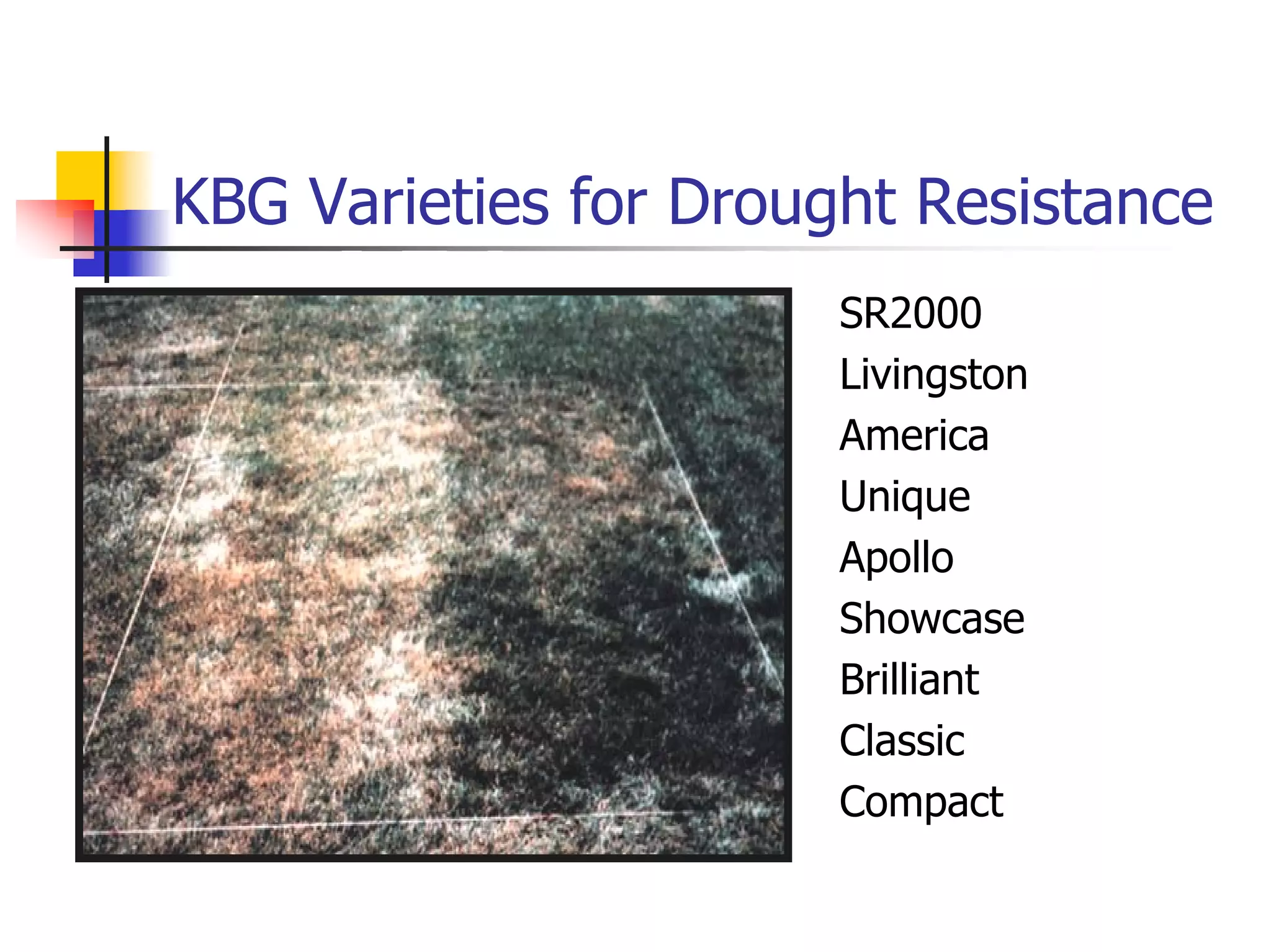 Turf Drough Tresistance