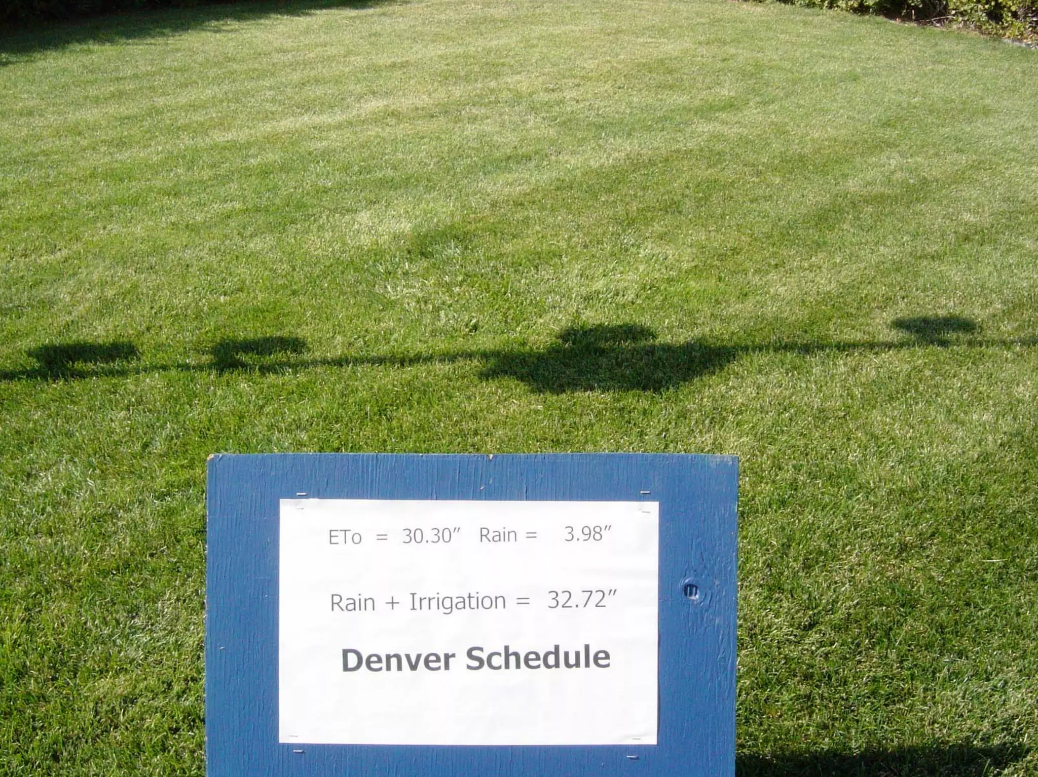 Turf Drough Tresistance