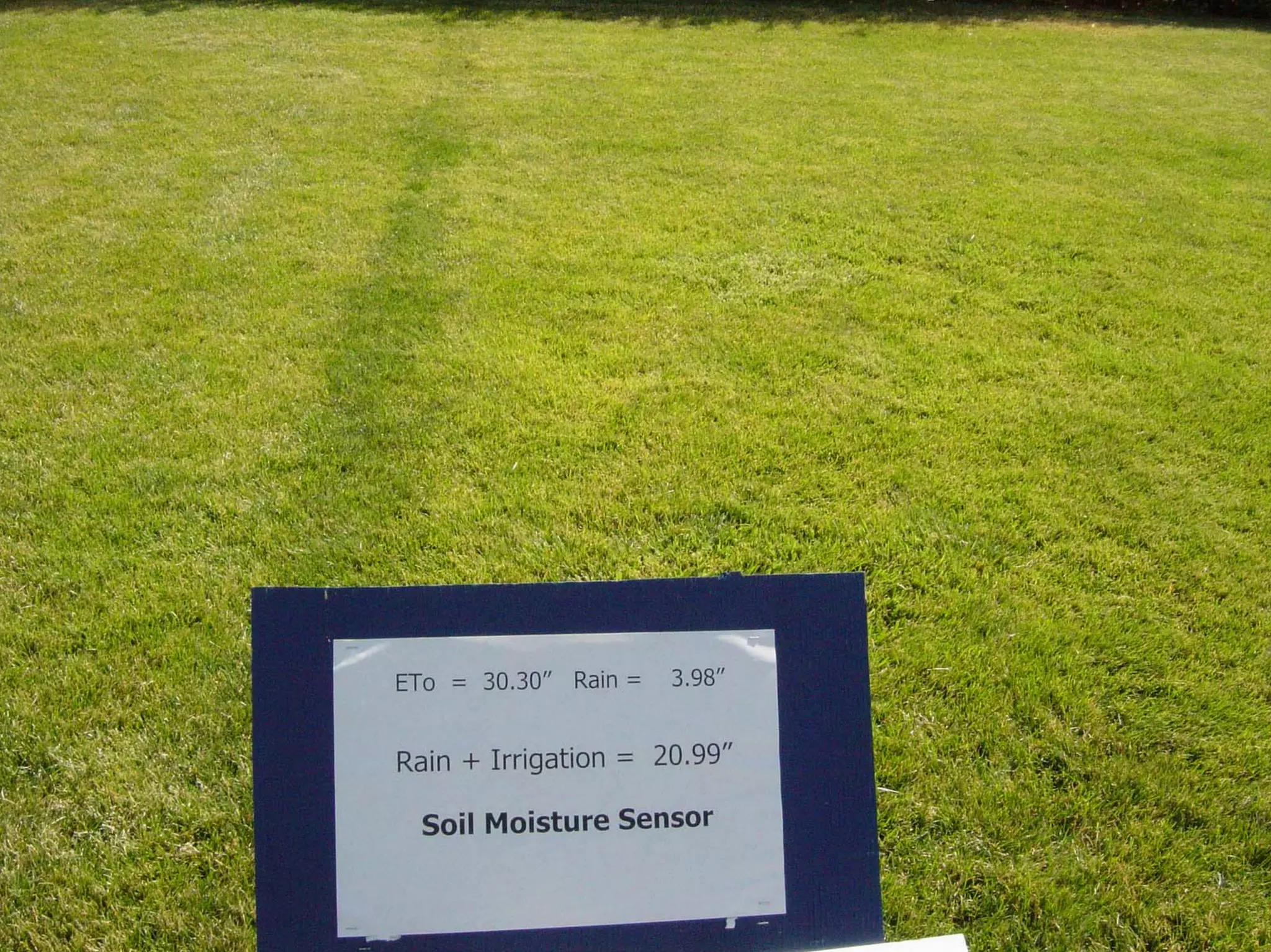 Turf Drough Tresistance