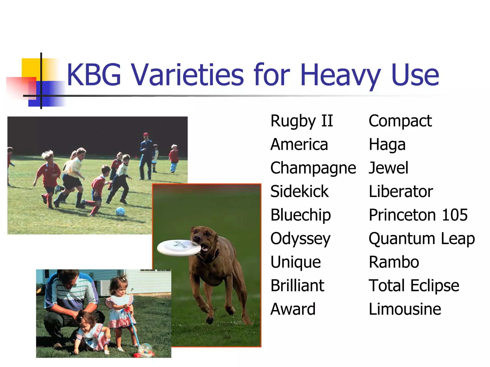 Turf Drough Tresistance