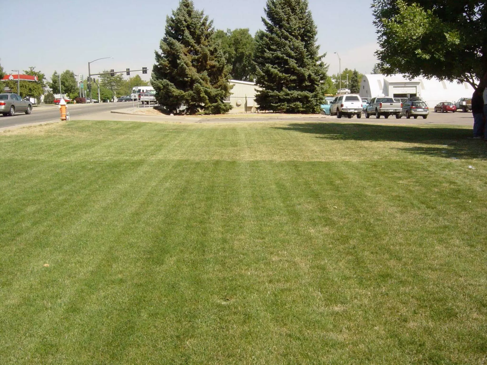 Turf Drough Tresistance