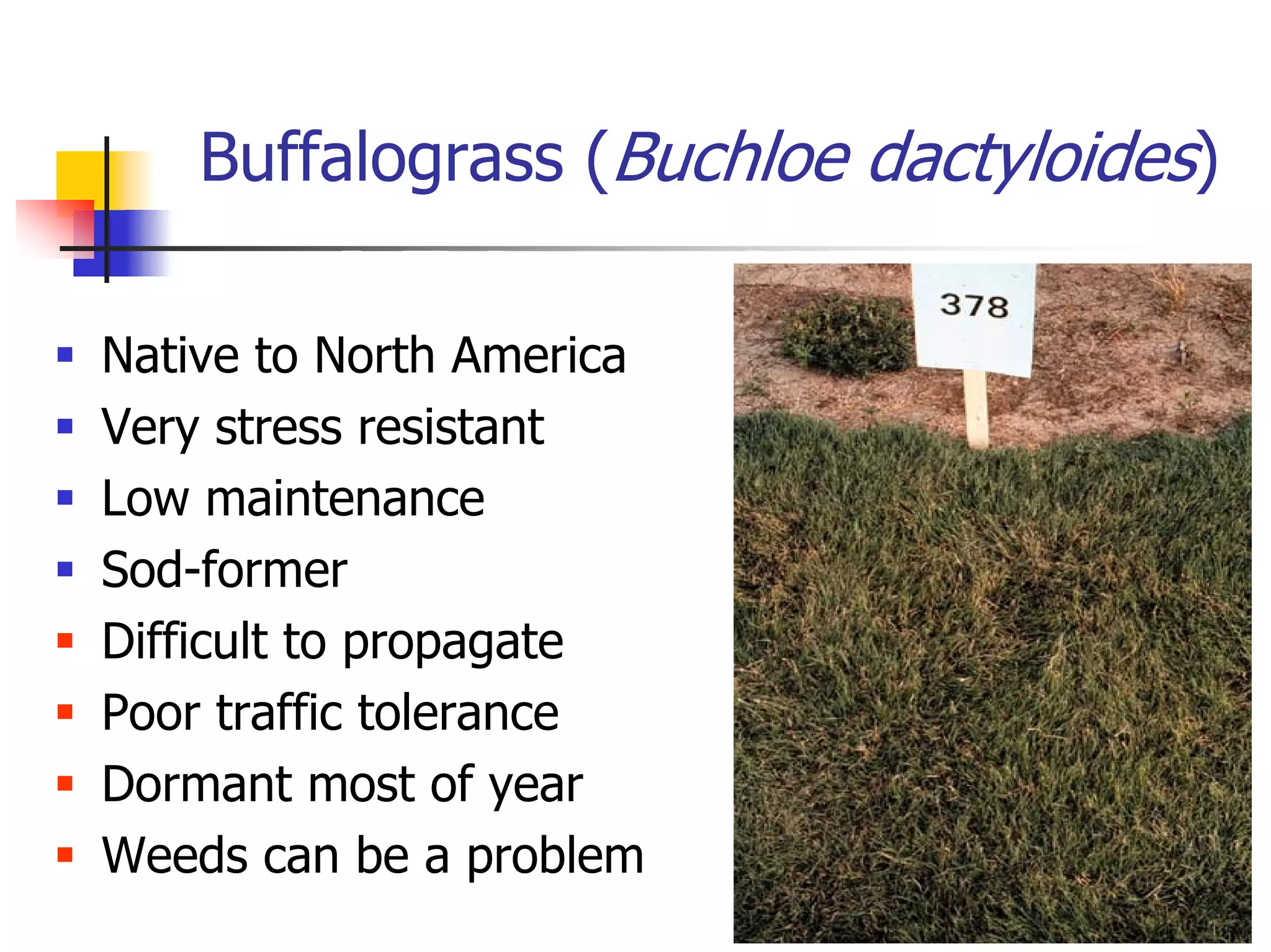 Turf Drough Tresistance