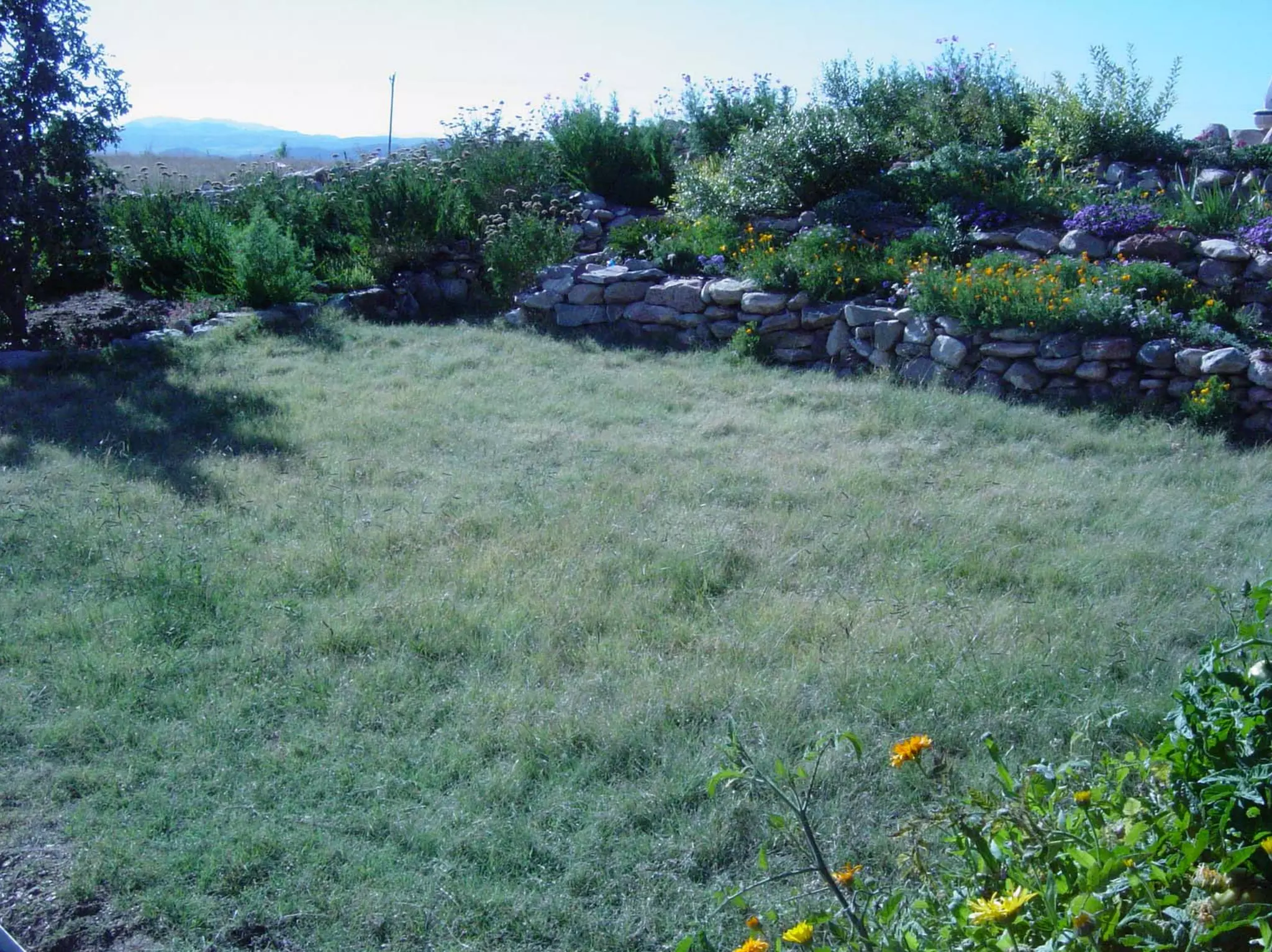 Turf Drough Tresistance