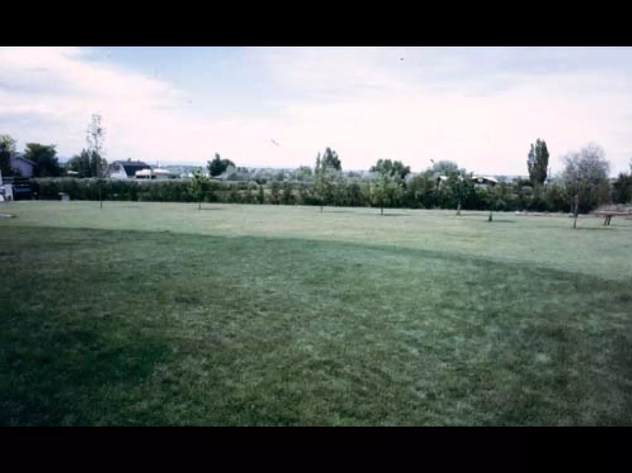 Turf Drough Tresistance